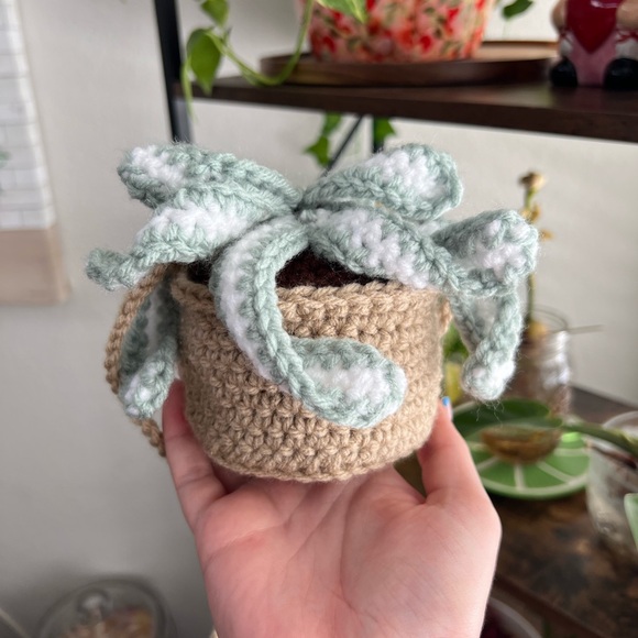 Handmade 🪴 hanging snake plant - Picture 3 of 4